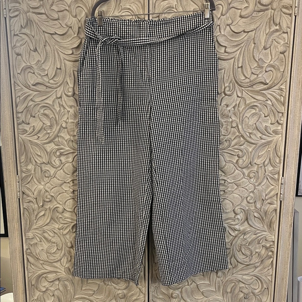 Loft Navy Gingham Pants